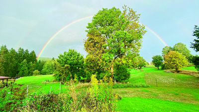 Stellplatz Foto 1