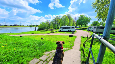 Stellplatz Foto 1