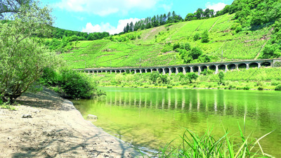 Stellplatz Foto 1