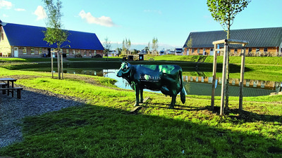 Stellplatz Foto 1