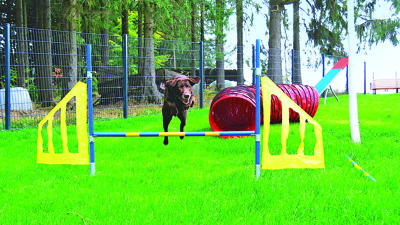 Stellplatz Foto 1