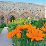 Orange und gelb blühende Blumen vor altem Mauerwerk des Klosters Memleben