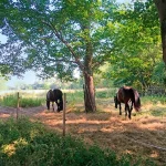 Neuen Stellplatz melden