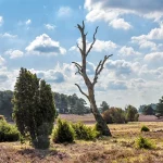 Stellplatzmeldeformular für Betreiber