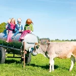 Stellplatzmeldeformular für Betreiber