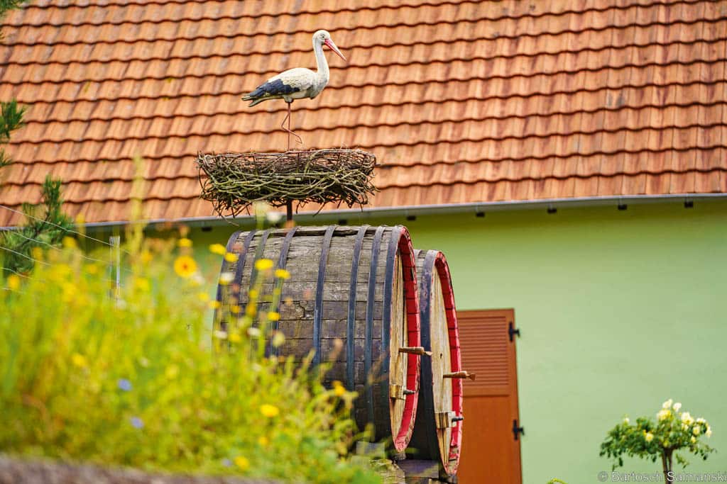 Andlau: Stadt zwischen zwei Burgen