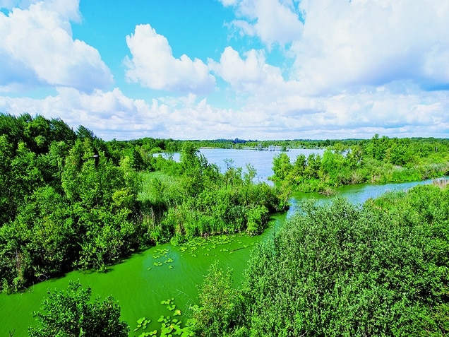 Wohnmobiltour Mecklenburgische Seenplatte