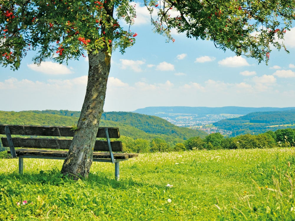 Lauterburg im Remstal, Sitzbank an einem Aussichtspunkt vor einem Baum.