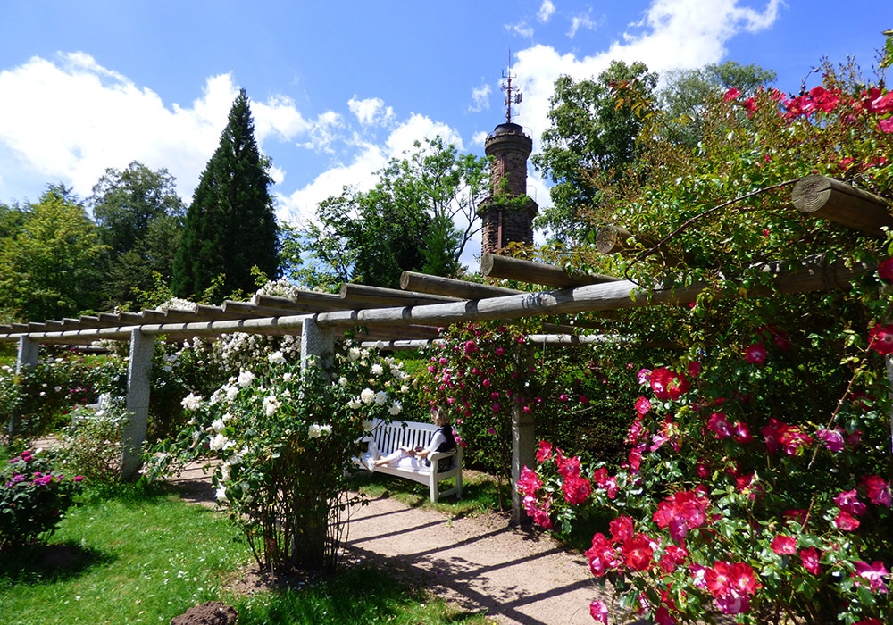 Blühender Garten in Freudenstadt im Schwarzwald.