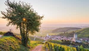 Elsass Landschaftsbild