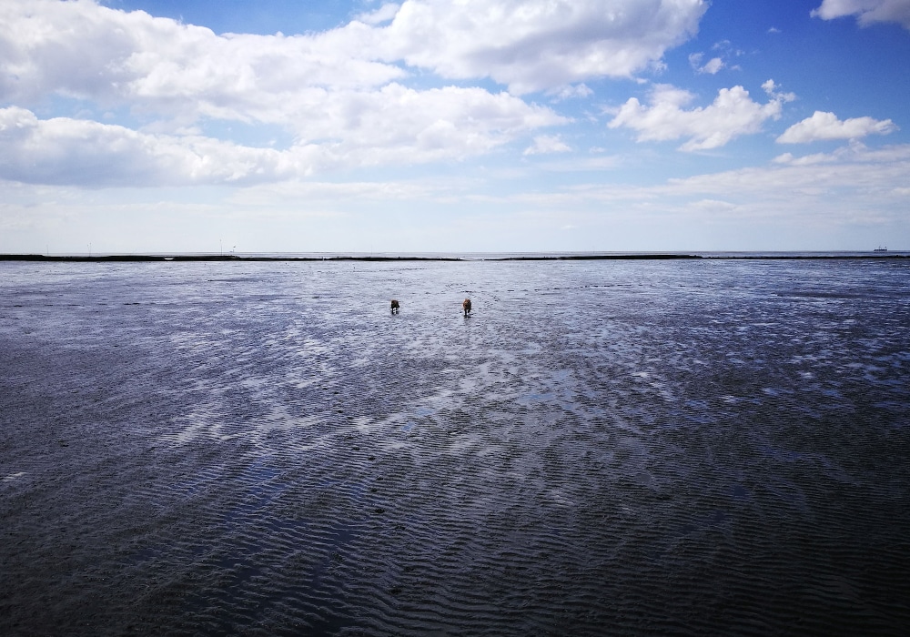 Nordsee. mit leicht bewöltem Himmel.