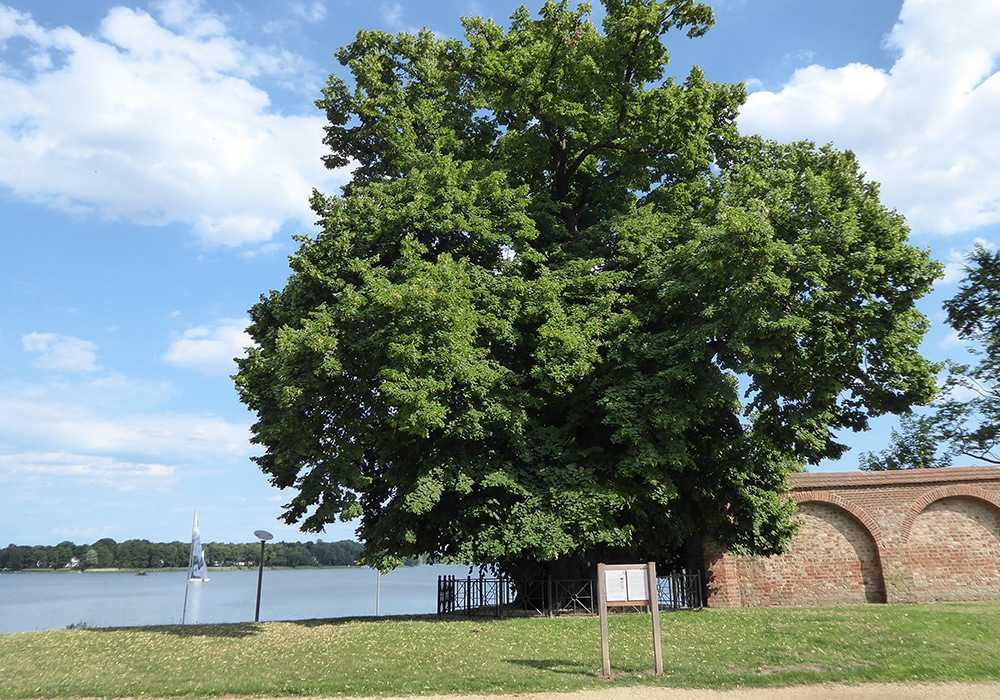Staedtetipp-Neuruppin-01