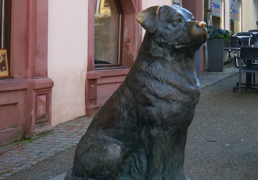 Hunderasse Rottweiler, Denkmal in Rottweiler Innenstadt